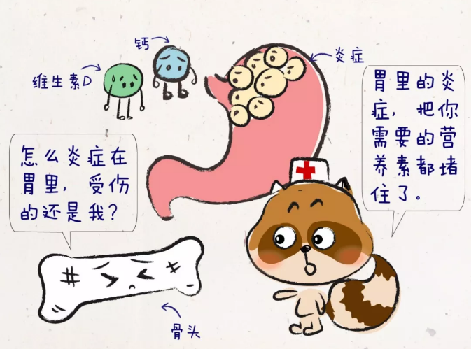 炎症会损伤你的骨骼.png