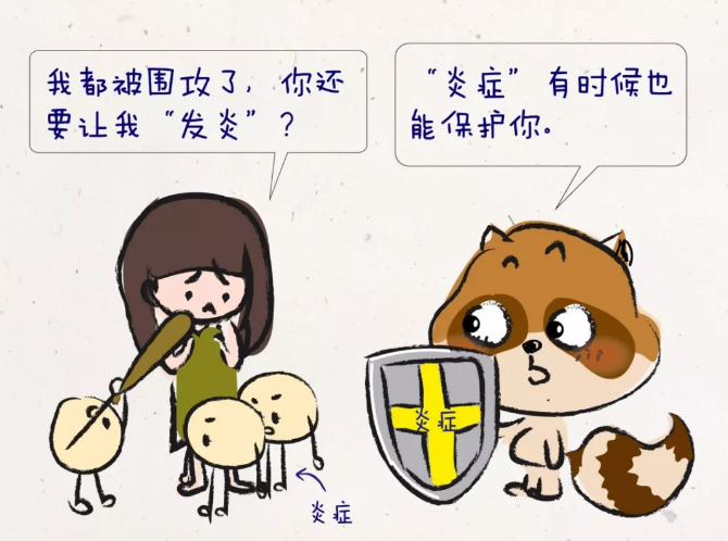 炎症是什么.png